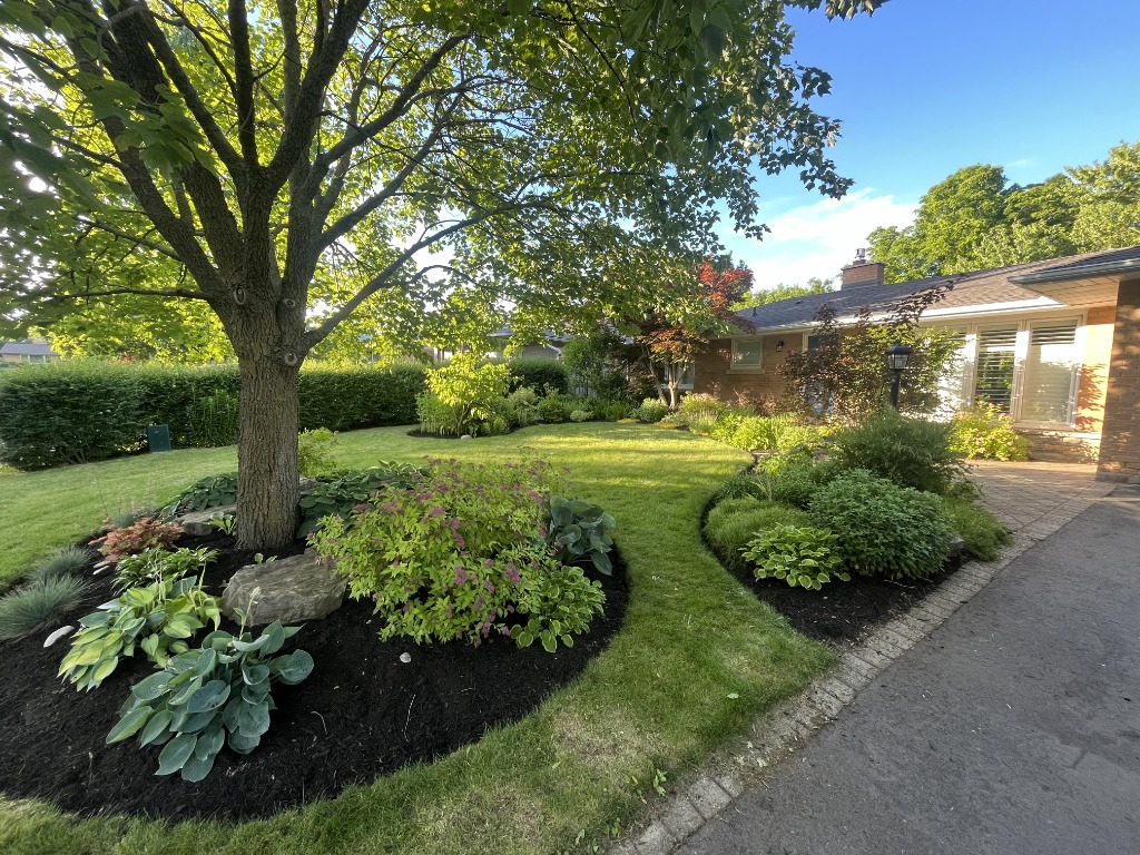 Plant and tree pruning