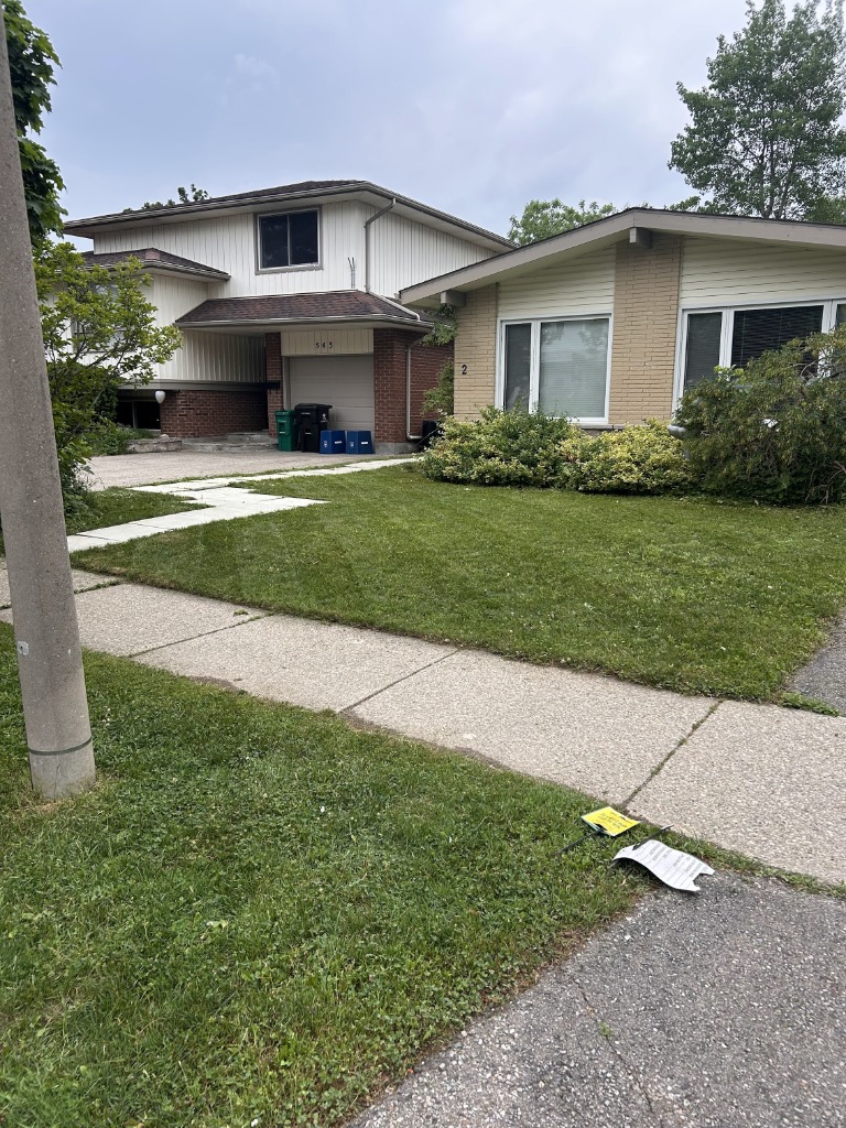 Front view lawn and path maintenance