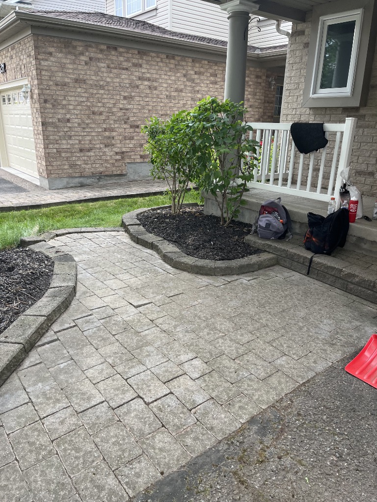 Weeding and removal service