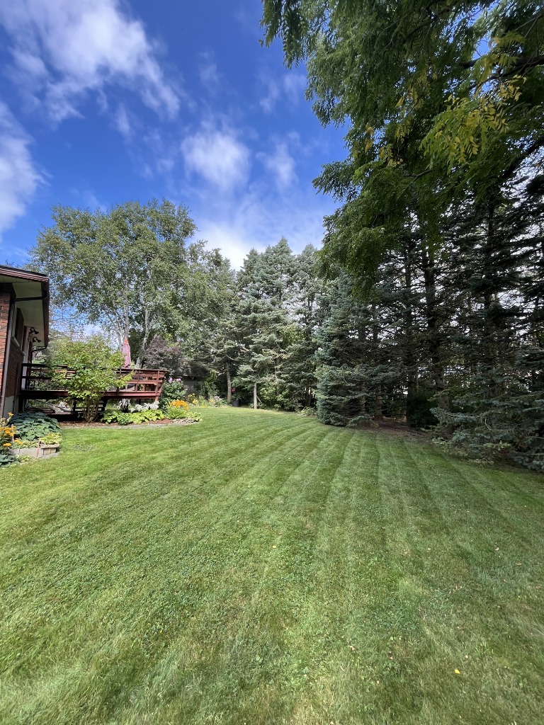 Freshly mowed suburban lawn at golden hour